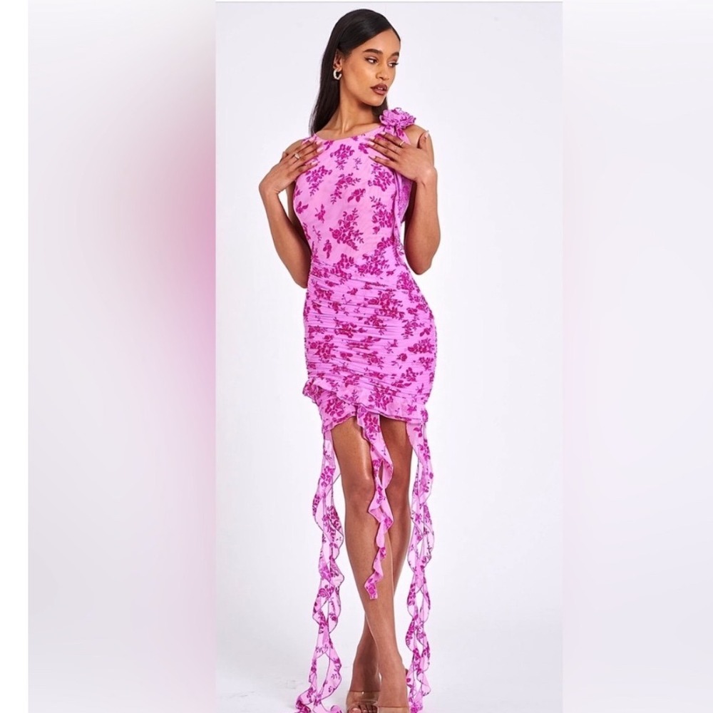 Miss Circle Fuchsia Alaina Floral Ruffle Mesh Dress Size L Y2K Fairycore